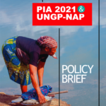 PIA 2021 &UNGP-NAP